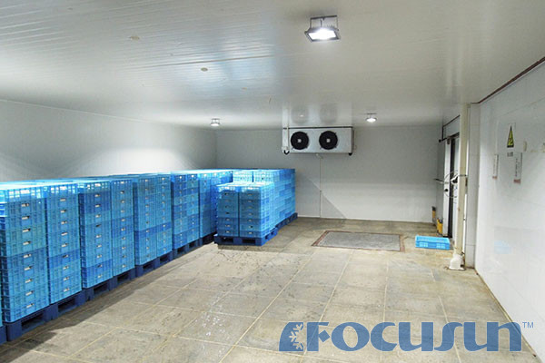 freezing room