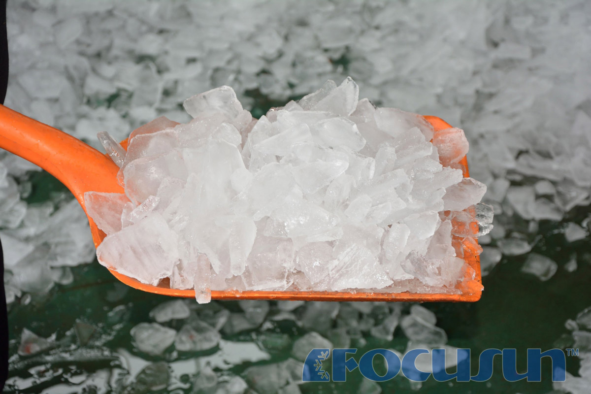 BUY LARGE PLATE ICE MACHINE FIP-100 FACTORY, MANUFACTURER & SUPPLIER