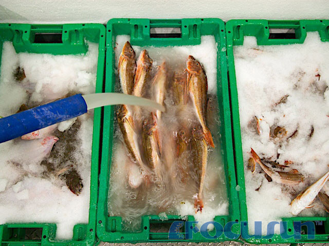 BUY SLURRY ICE MACHINE FSL-50 FACTORY, MANUFACTURER & SUPPLIER