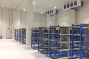 BUY COLD STORAGE FOR MEAT