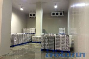 BUY COLD STORAGE FOR FRUITS & VEGETABLES